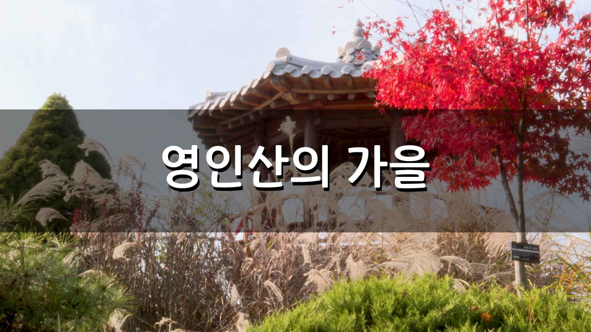 영인산의 가을