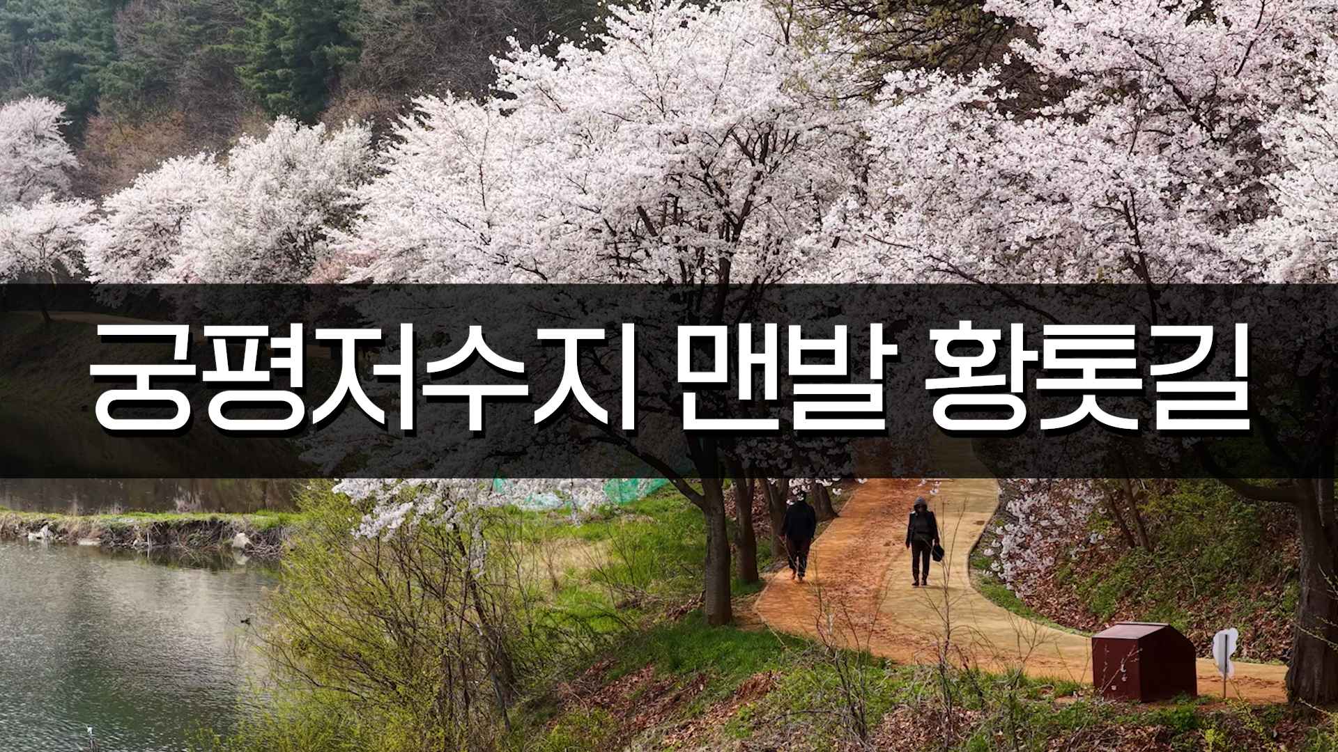 궁평저수지 맨발 황톳길