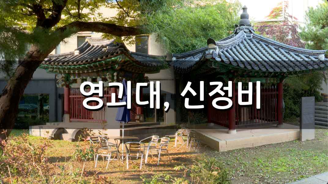 영괴대, 신정비