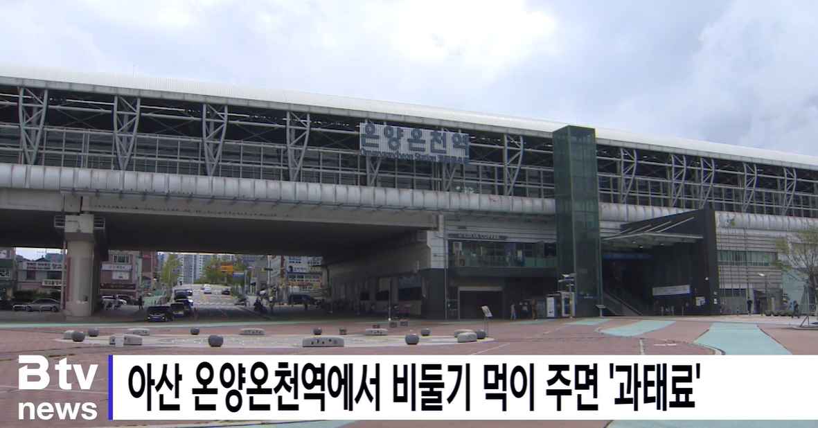 [Btv 뉴스] 아산 온양온천역에서 비둘기 먹이 주면 '과태료'
