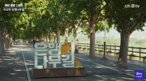 [Btv 중부뉴스] [아산 관광 12선] ③ 곡교천 은행나무길